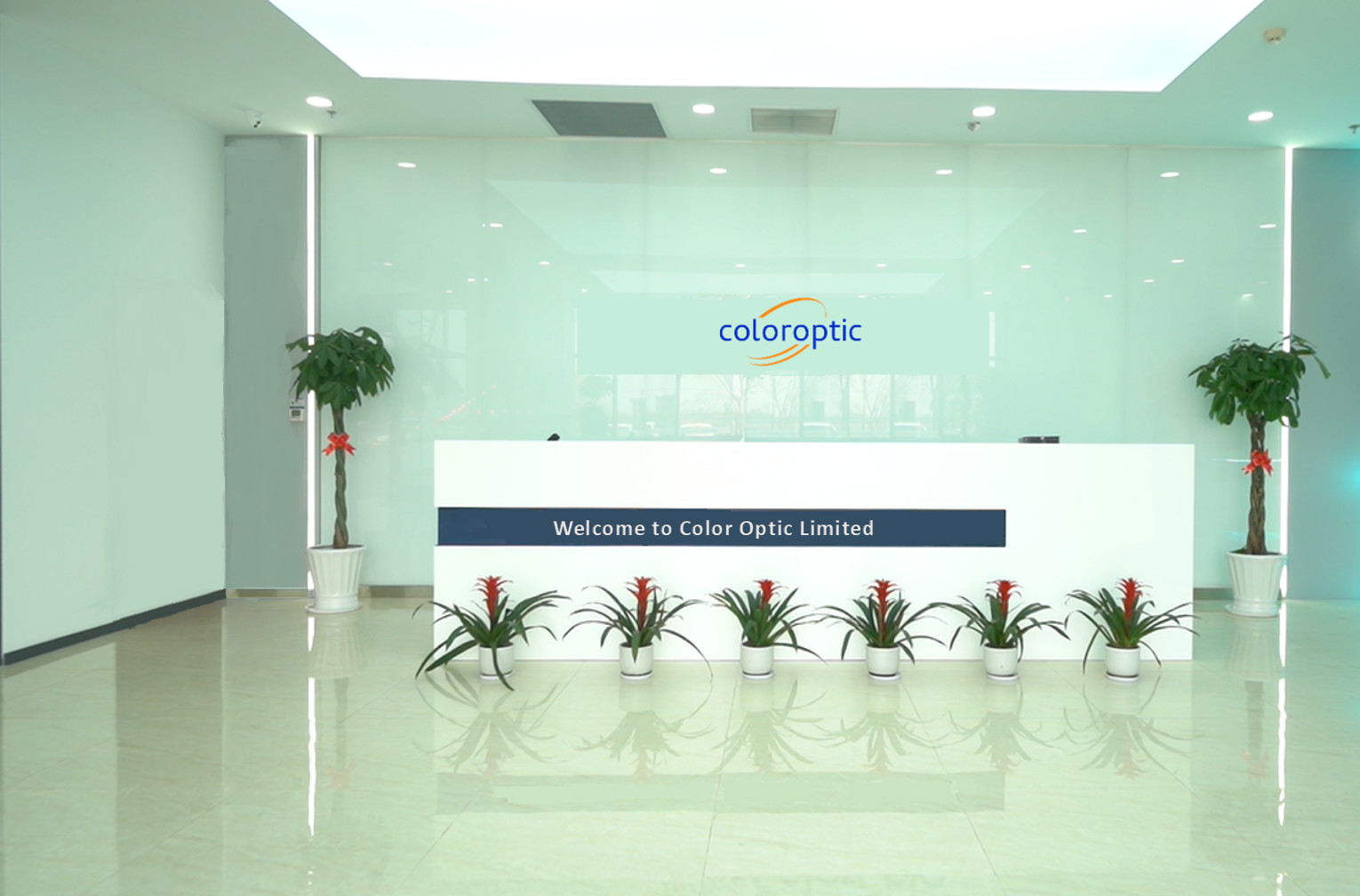 Cina Color Optic Limited Profil Perusahaan