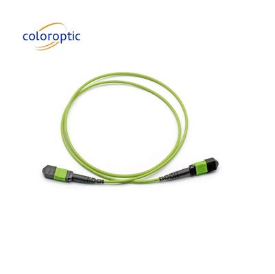 Single Mode MTP Patch Cord MTP Connector G652D / G657A1 / G657A2 Serat