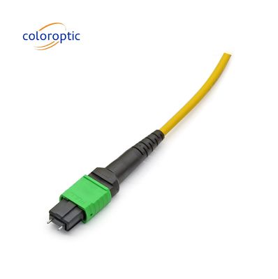 MTP APC Kabel Optik Wanita ke Wanita 10/40G SM 3M PVC / LSZH Kabel Trunk