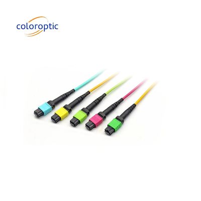MTPO MTP Patch Cord APC Wanita ke Wanita Trunk Fiber Optic Patch Cord