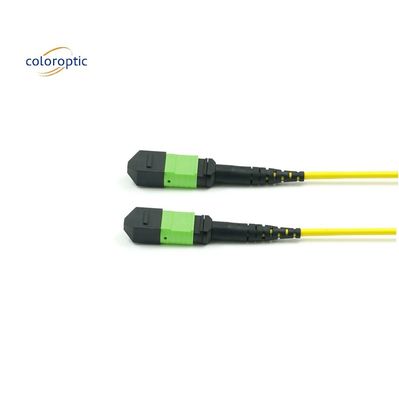 Passive Optical Single Mode Patch Cord MPO-12 / APC-To-MPO12 / APC