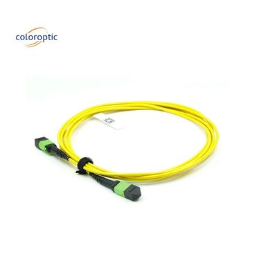 OM3 MPO Patch Cord 12 Core Aqua Fiber Optic Connector Untuk Jaringan yang Efisien