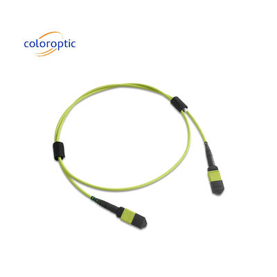 Multifiber MPO Patch Cord PVC Jacket 12 Core OM5 Wanita Ke Wanita Konektor PC Polishing