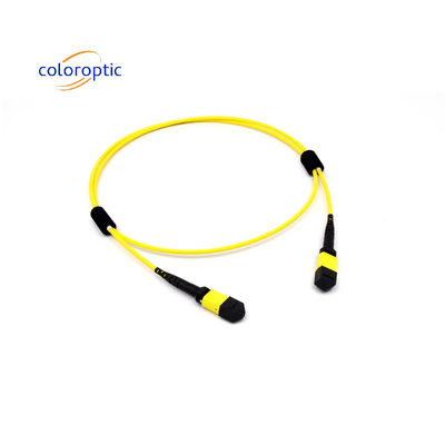 Mtp(Mpo) Patch Kabel Single Mode 12 Serat Tipe B Wanita Ke Konektor Wanita Pc Polishing