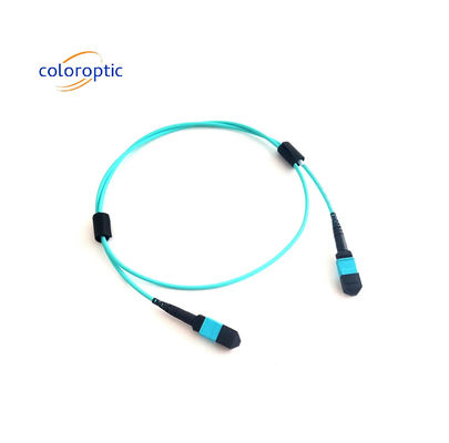 MTP (MPO) 12 FIBRE PATCH CABLE OM3 (50/125) M400 Seri US Conec