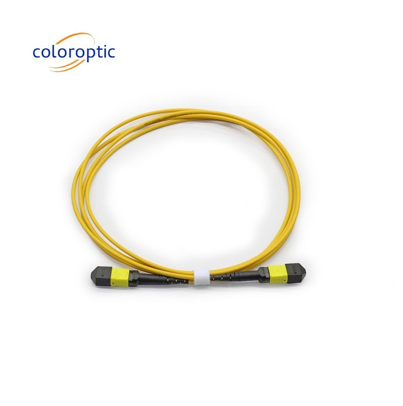 MTP APC Kabel Optik Wanita ke Wanita 10/40G SM 3M PVC / LSZH Kabel Trunk