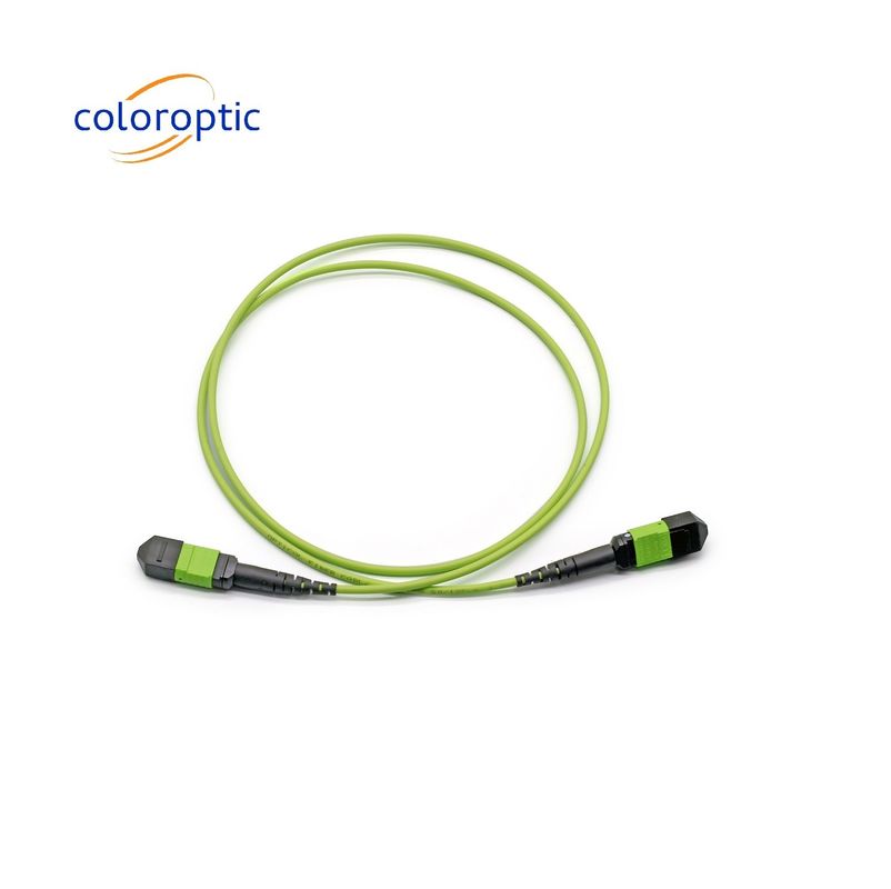 Single Mode MTP Patch Cord MTP Connector G652D / G657A1 / G657A2 Serat