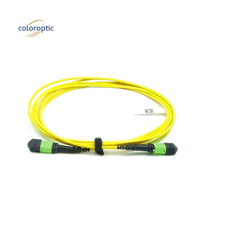 Passive Optical Single Mode Patch Cord MPO-12 / APC-To-MPO12 / APC