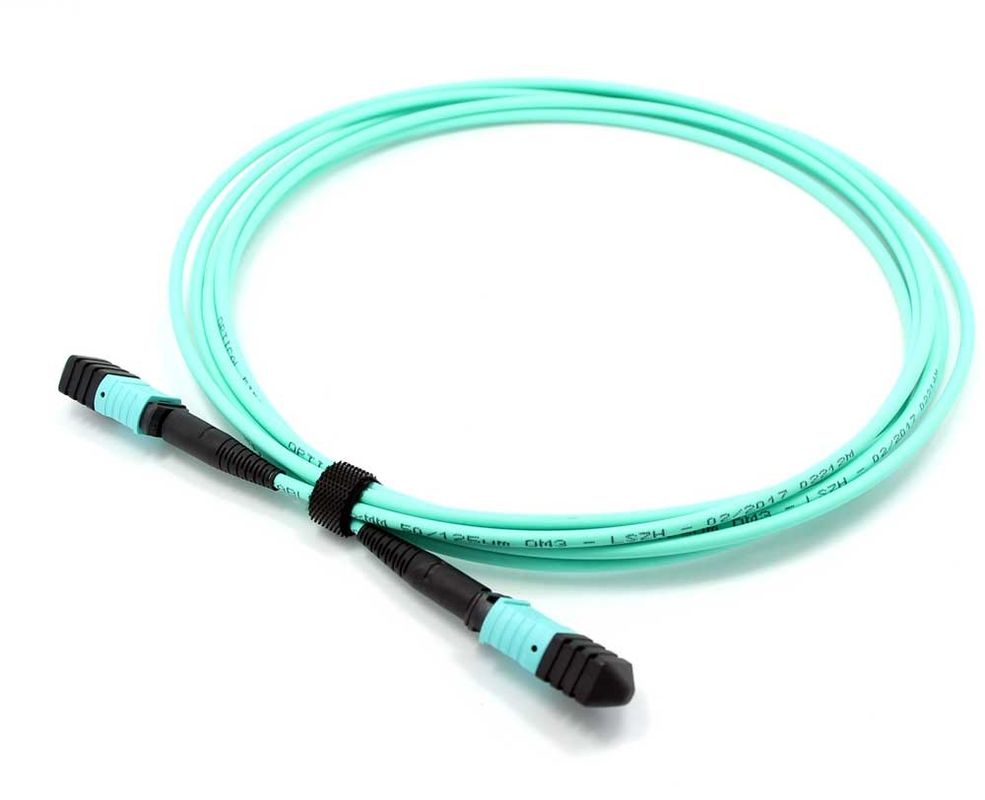 Multimode 16-Fiber Mpo Trunk Kabel Untuk 400g Qsfp-Dd Modul Di Ai Jaringan