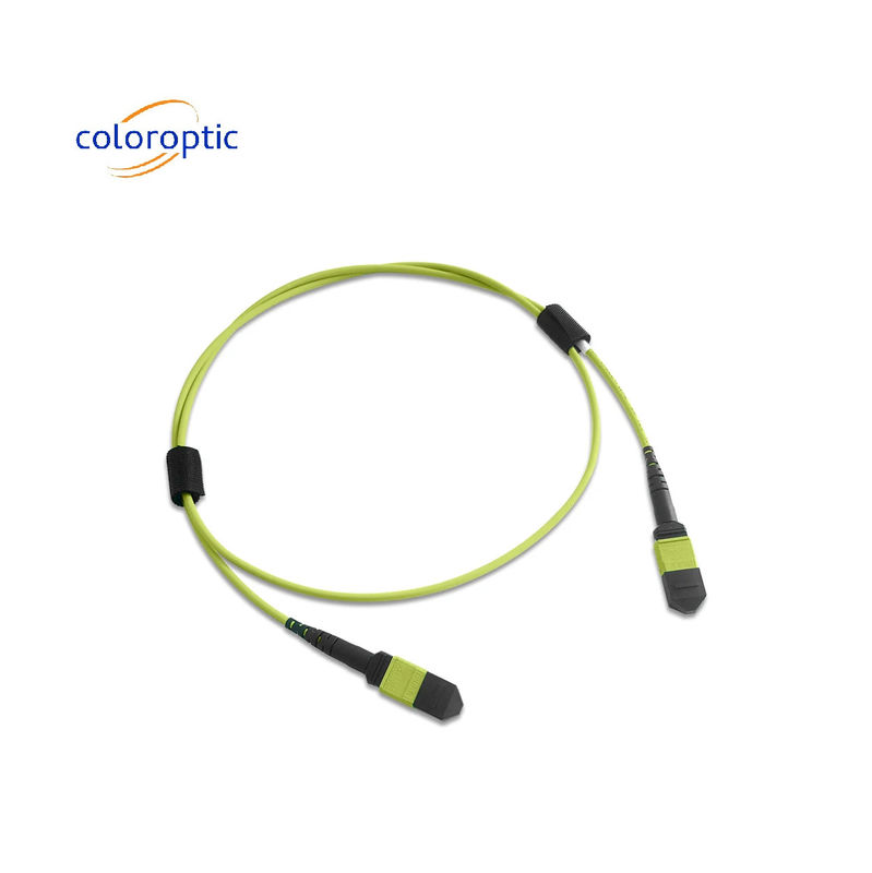 Multifiber MPO Patch Cord PVC Jacket 12 Core OM5 Wanita Ke Wanita Konektor PC Polishing
