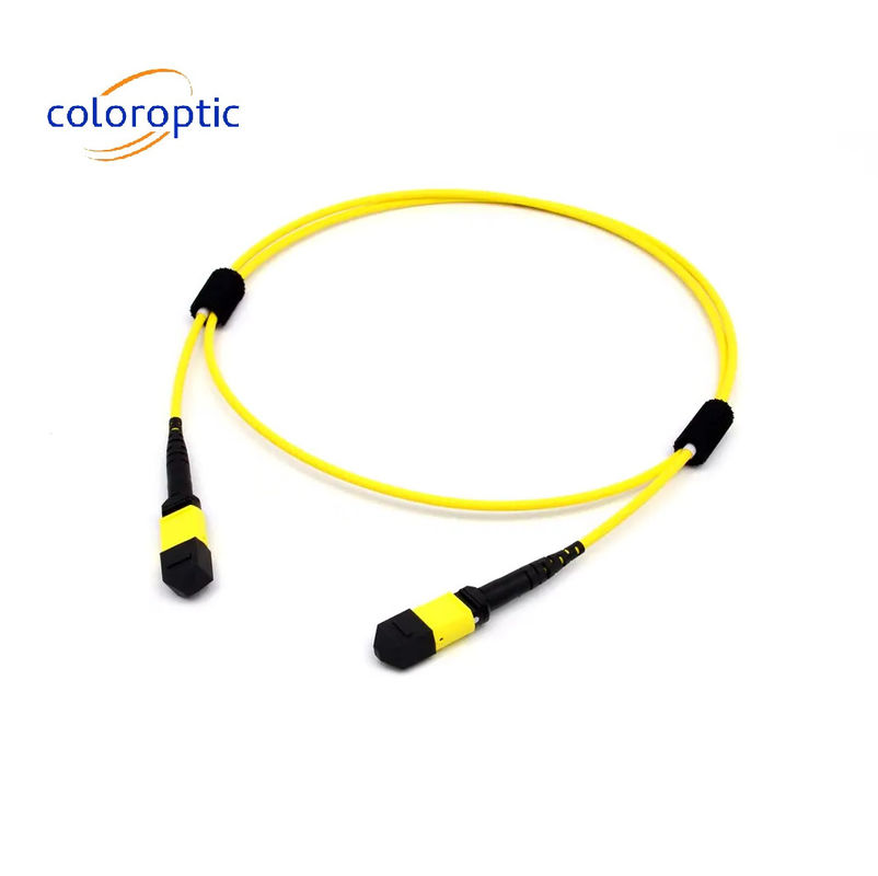 Multi Mode fiber MTP MPO 16 FIBRE OM5 (50/125) PATCH CABLE untuk SR8 400G QSFP-DD dan OSFP 400G SR8 PAM4