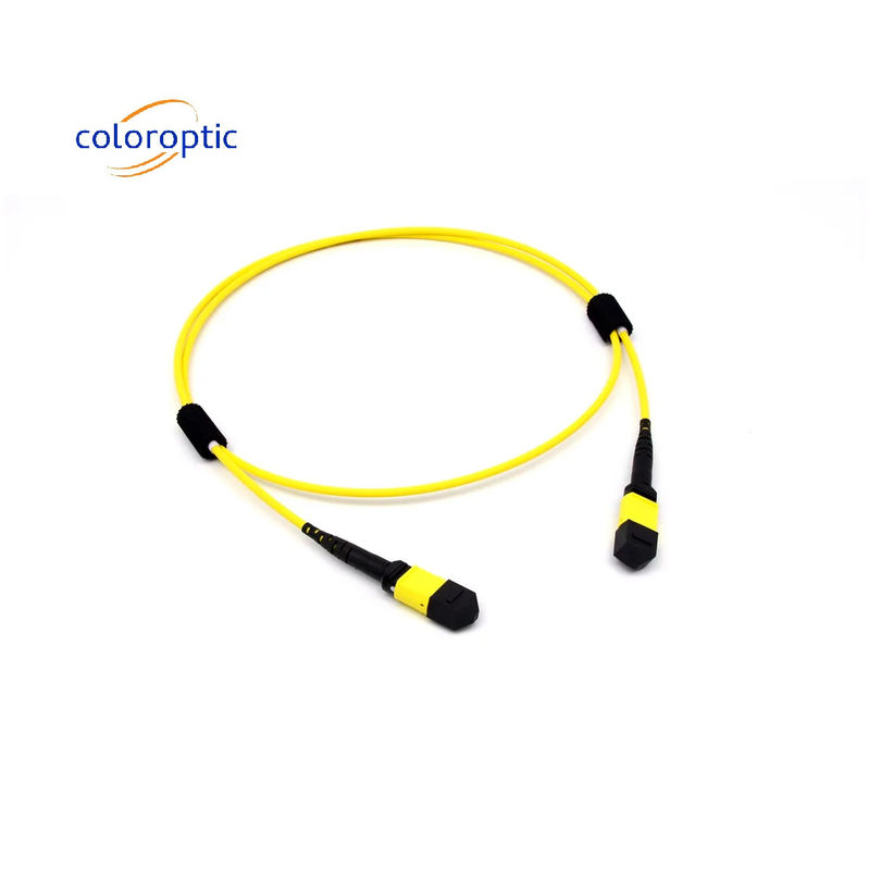 Mtp(Mpo) Patch Kabel Single Mode 12 Serat Tipe B Wanita Ke Konektor Wanita Pc Polishing